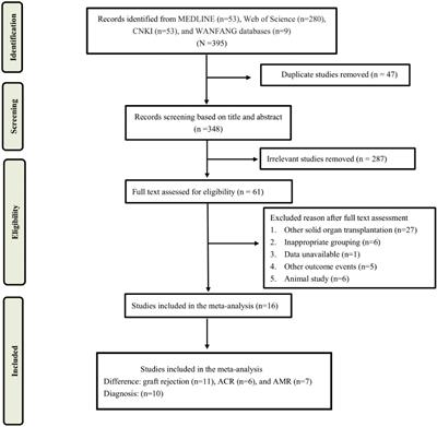 Circulating donor-derived cell-free DNA as a marker for rejection after lung transplantation